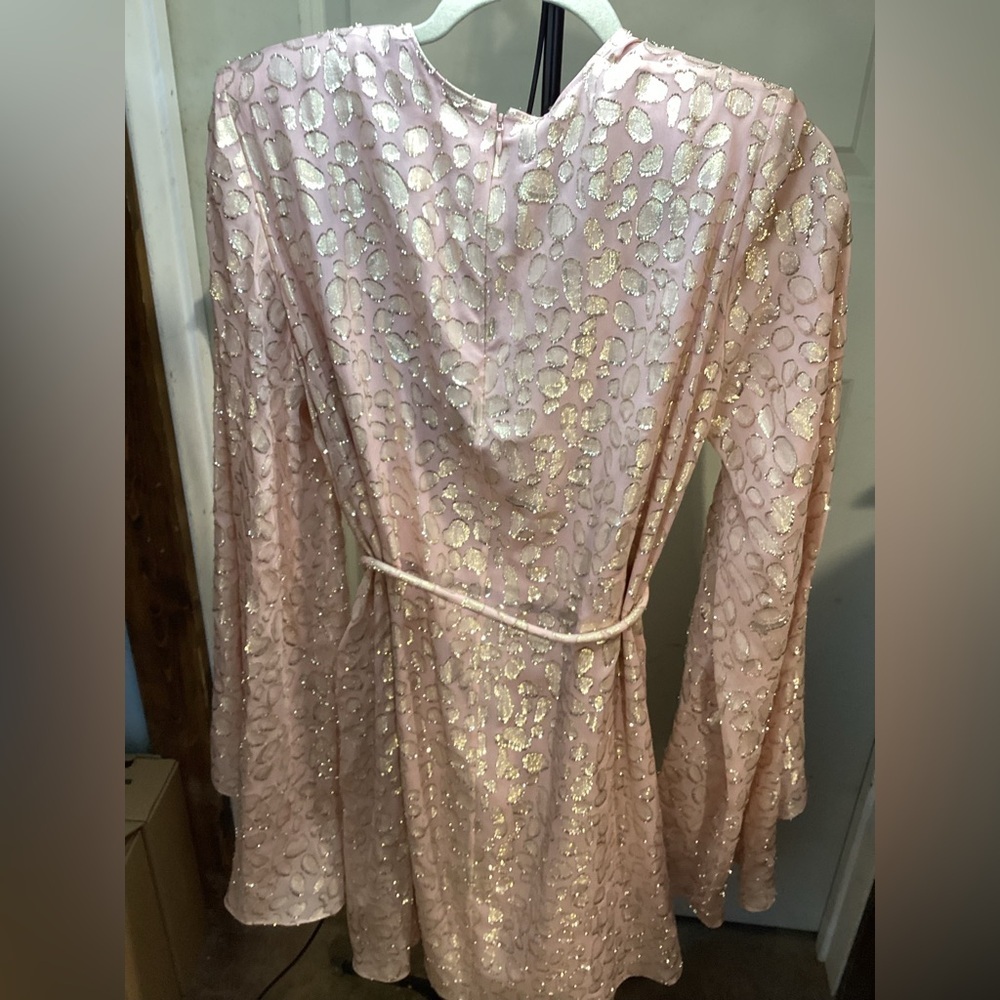 Stella McCartney Blush and Gold Lace Midi Dress - Picture 2 of 6